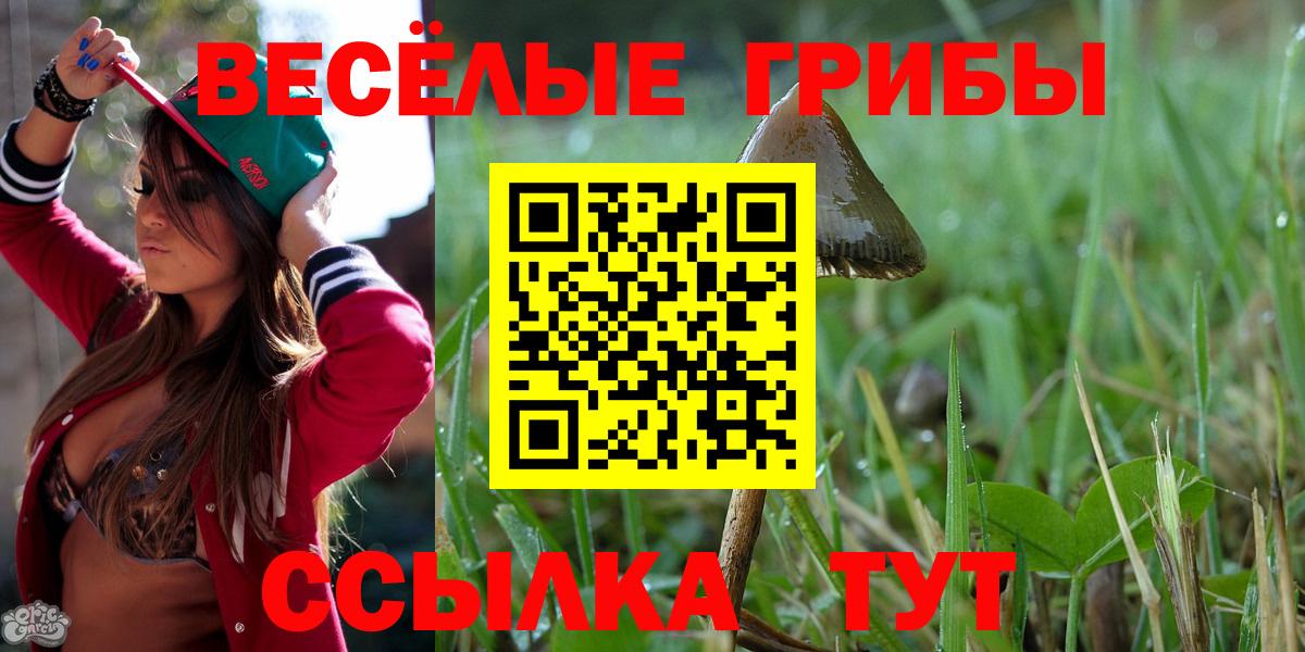 Псилоцибиновые грибы Psilocybine cubensis Карасук