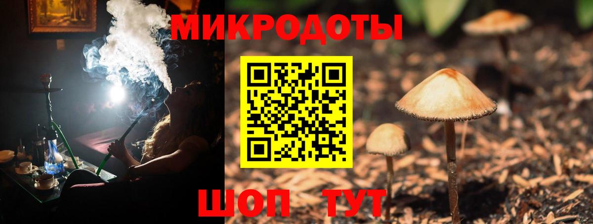 Карасук  Псилоцибиновые грибы мухоморы  Вход с VPN  Галлюциногенные грибы мицелий 